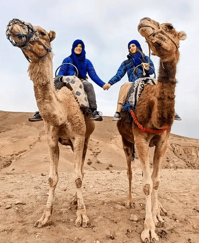 Camel Ride Experience